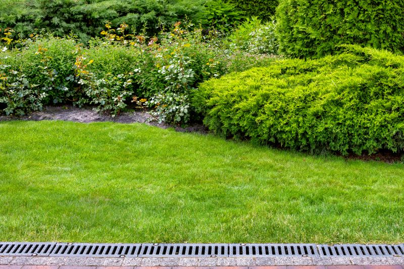 Lawn Erosion Control