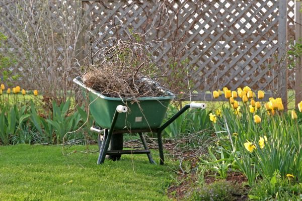 Flower Bed Cleanup Service in Collierville