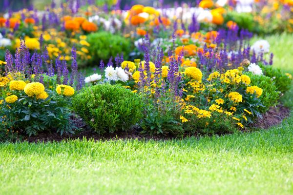 Flower Bed Maintenance in Collierville