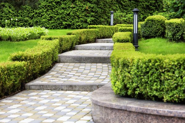 Backyard Remodeling in Collierville