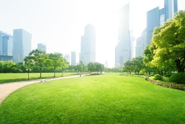 Commercial Landscape Maintenance in Collierville