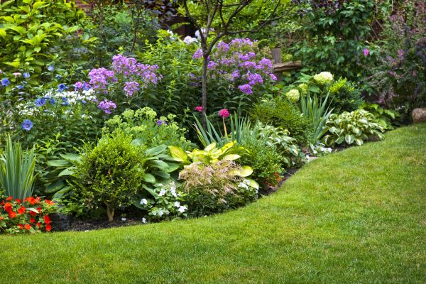 Flower Bed Service in Collierville