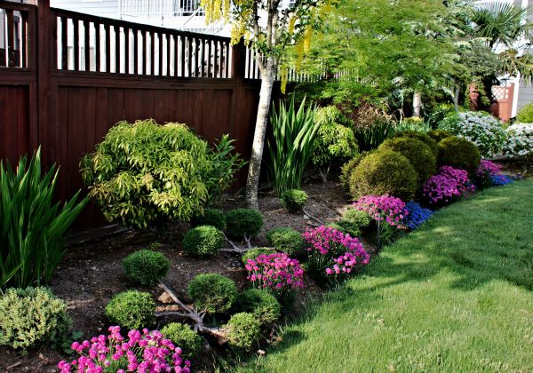 Garden Care Service in Collierville