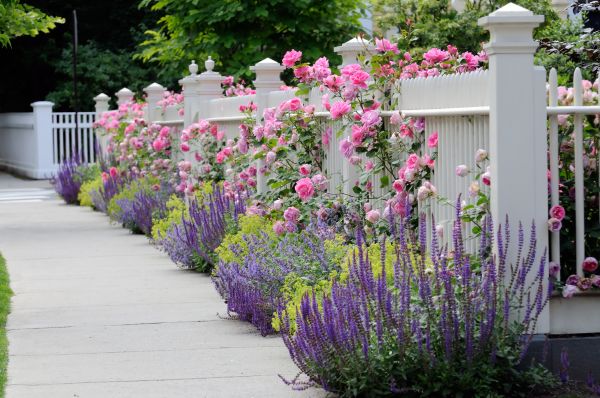 Garden Handyman Service in Collierville