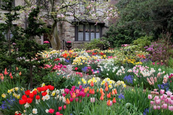 Garden Maintenance Service in Collierville
