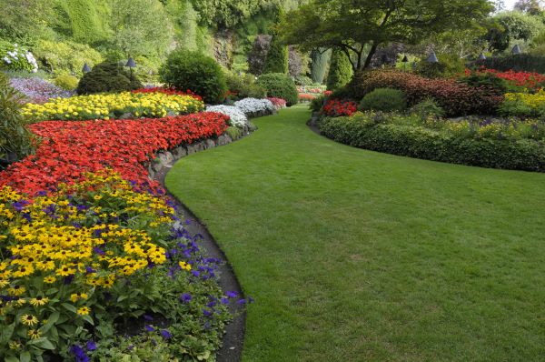 Landscaping Maintenance in Collierville