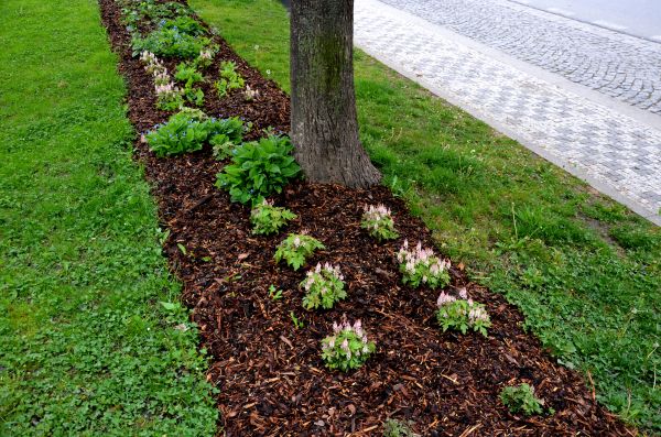 Mulch Replacement Service in Collierville