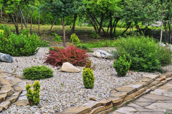 Rock Landscaping in Collierville