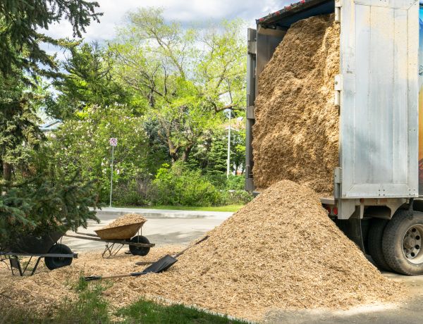 Wood Chips Delivery in Collierville