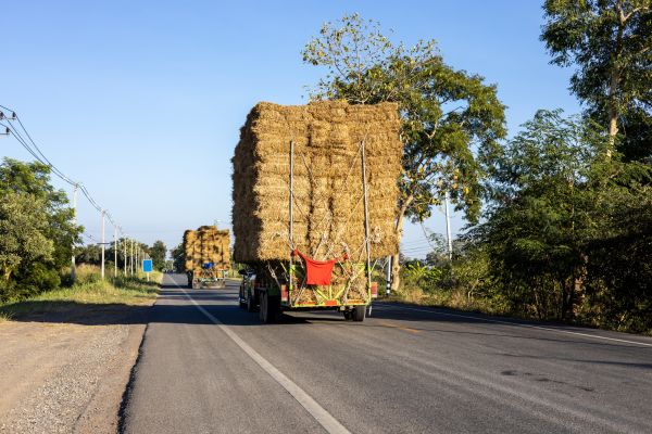 Pine Straw Delivery in Collierville
