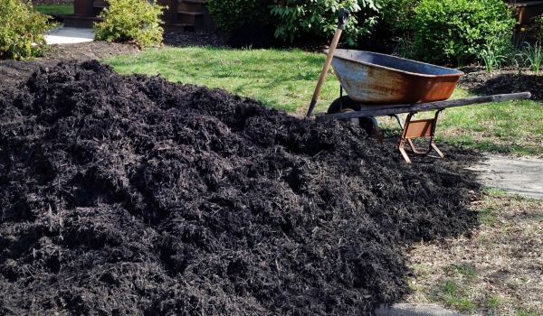 Black Mulch Delivery in Collierville