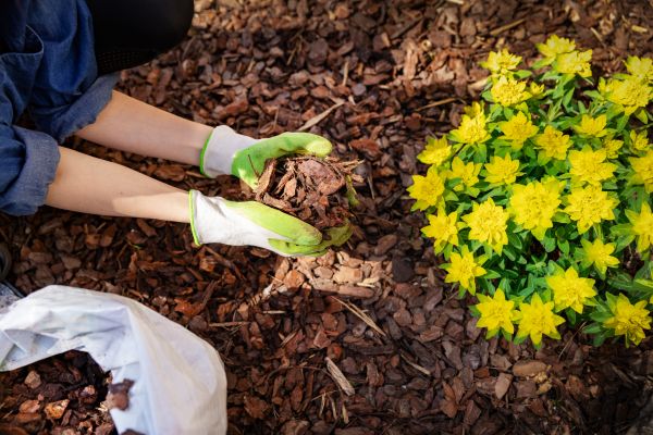 Garden Mulching in Collierville