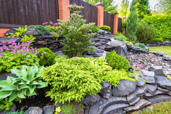 Landscape Remodeling in Collierville