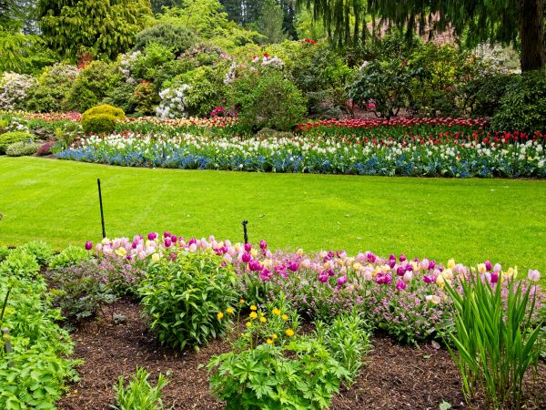 Residential Landscape Design in Collierville