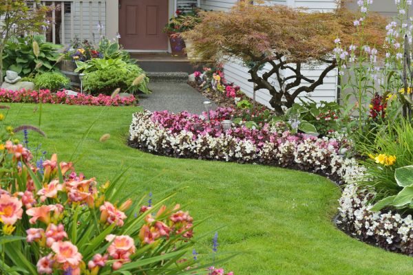 Perennial Landscaping in Collierville