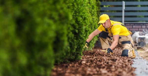 Cypress Mulch Installation in Collierville