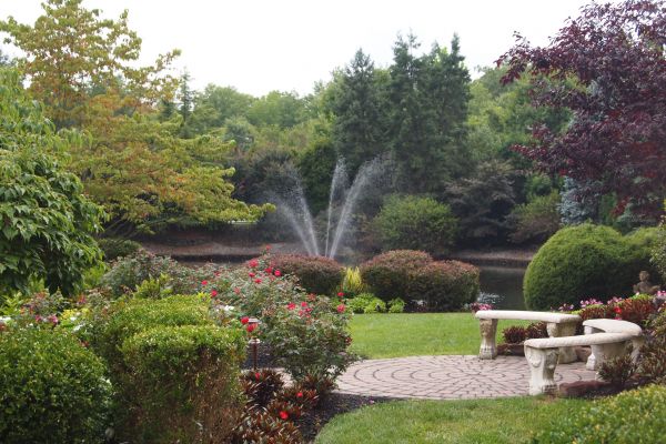 Courtyard Design Service in Collierville
