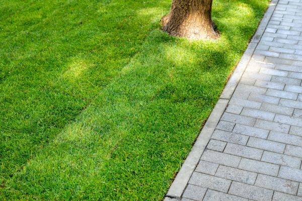 Border Stone Installation in Collierville