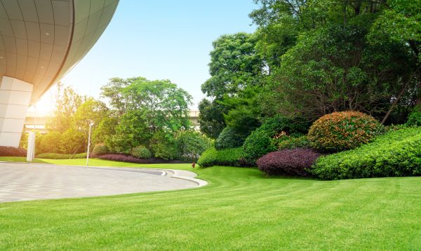 Business Landscape Design in Collierville