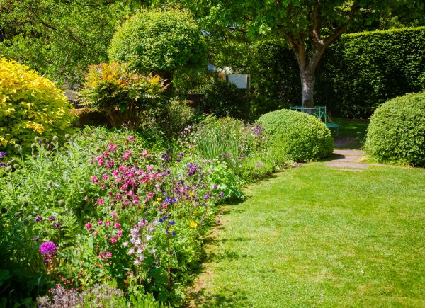 Yard Landscaping Service in Collierville