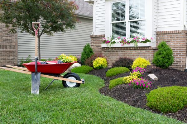 Tree And Shrub Planting in Collierville