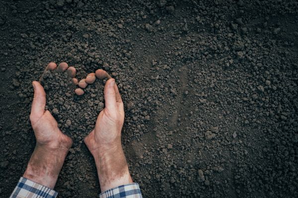 Soil Installation in Collierville