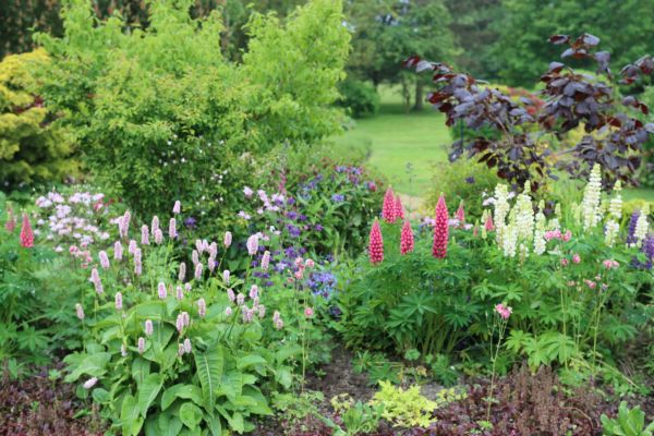 Flower Bed Planting in Collierville