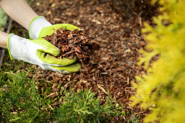 Garden Mulch Delivery in Collierville