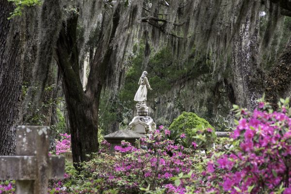 Cemetery Landscaping in Collierville
