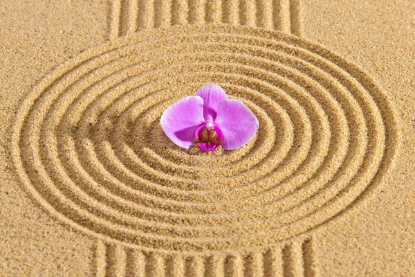 Sand Garden Landscaping in Collierville