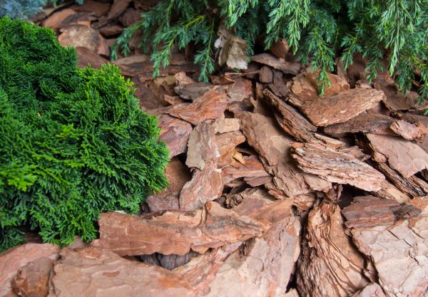 Pine Bark Installation in Collierville