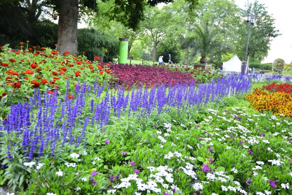 Perennials Planting in Collierville