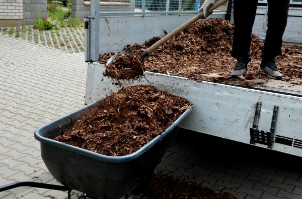 Cypress Mulch Delivery in Collierville