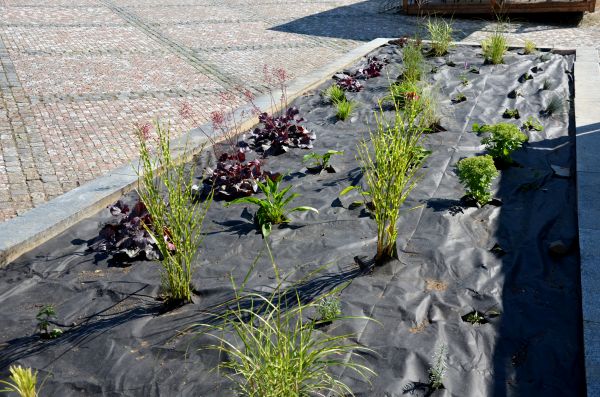 Landscape Fabric Installation in Collierville