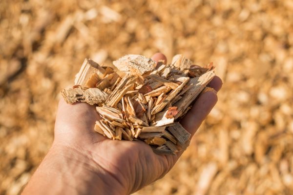 Wood Chips Spreading in Collierville