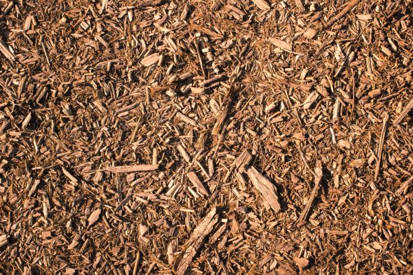 Wood Chips Removal in Collierville