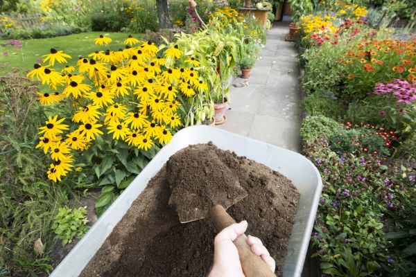 Topsoil Replacement in Collierville