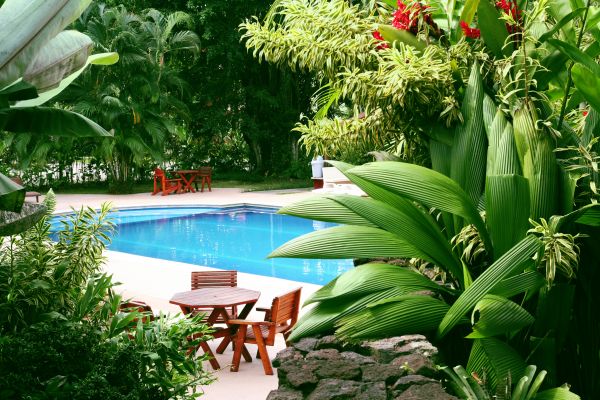 Pool Area Landscaping in Collierville