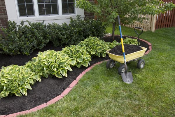 Landscape Mulching in Collierville
