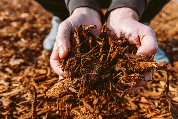 Bark Chips Delivery in Collierville