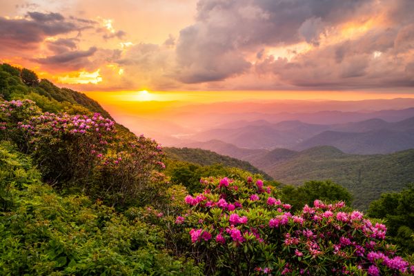 Hill Landscaping in Collierville