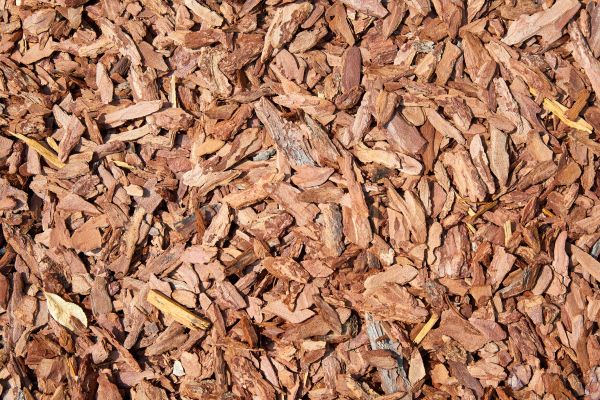 Pine Mulch Spreading in Collierville