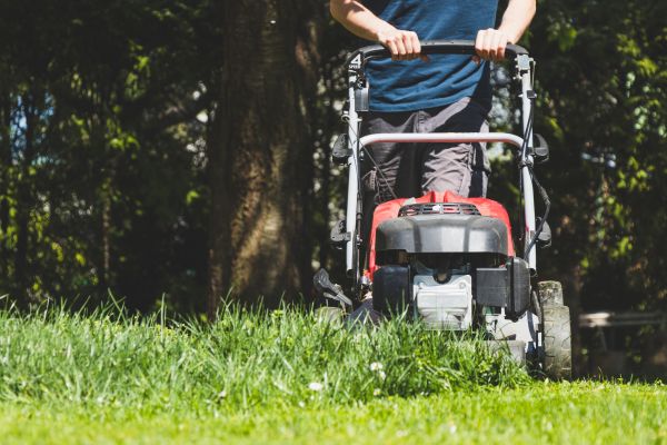 Garden Trimming Service in Collierville