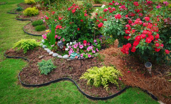 Floral Landscaping in Collierville