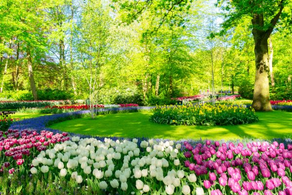 Flower Landscaping in Collierville