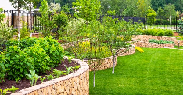 Yard Makeover Service in Collierville