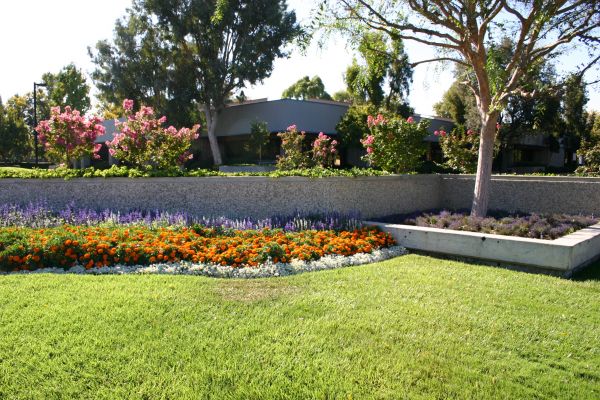Commercial Landscape Service in Collierville
