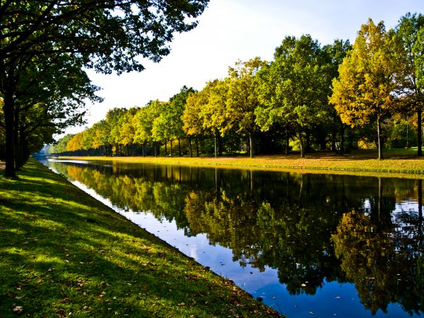Bank Landscaping in Collierville