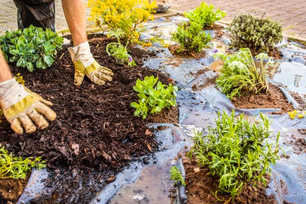 Mulch Fabric Installation in Collierville