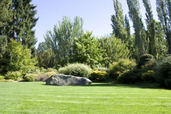 Yard Enlargement in Collierville